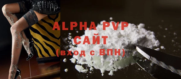 ECSTASY Вяземский