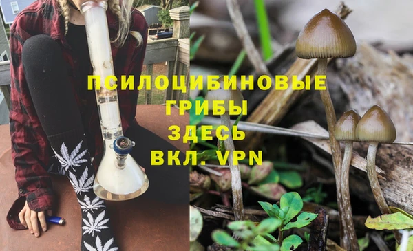 spice Покровск