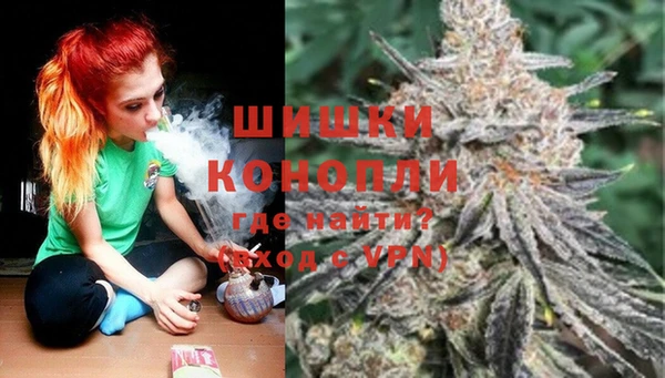 дурь Богданович