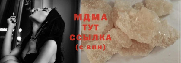 прущие грибы Вязники