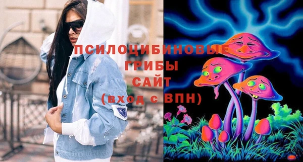 ECSTASY Вяземский