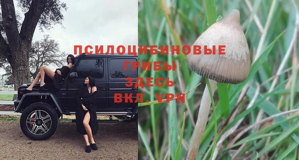 дурь Богданович
