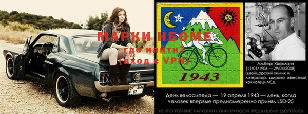 ECSTASY Вяземский