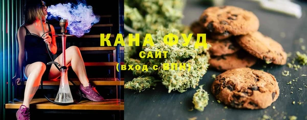 прущие грибы Вязники