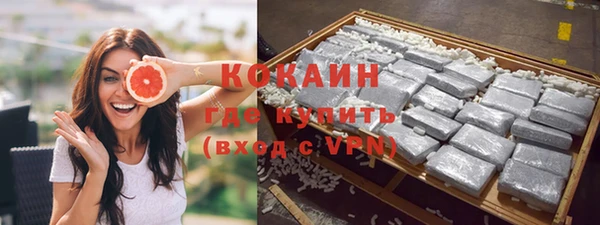 прущие грибы Вязники