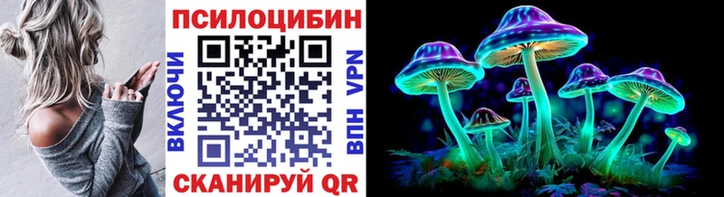 Галлюциногенные грибы Psilocybine cubensis Елизаветинская