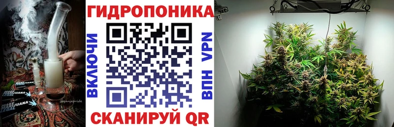Каннабис конопля  Елизаветинская 